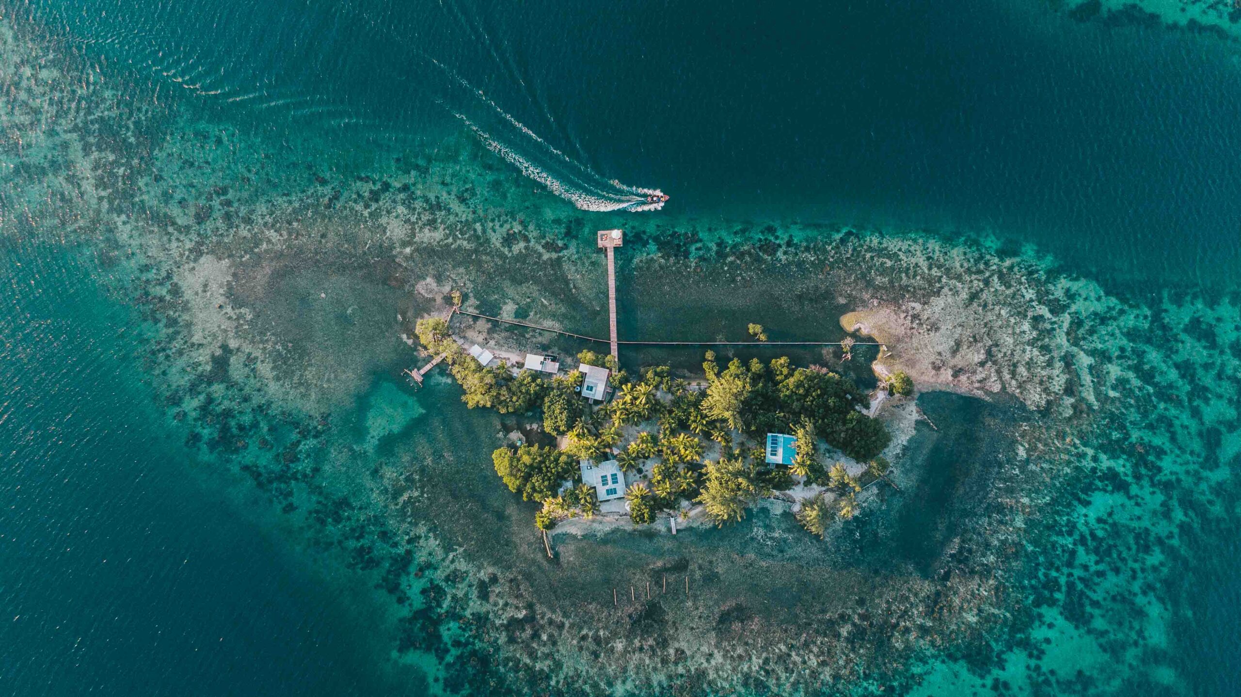 Coral Caye by Francis Ford Coppola